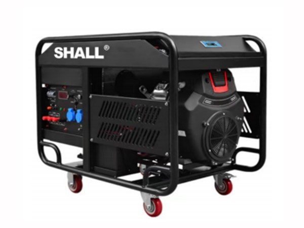 Dual Fuel Generator